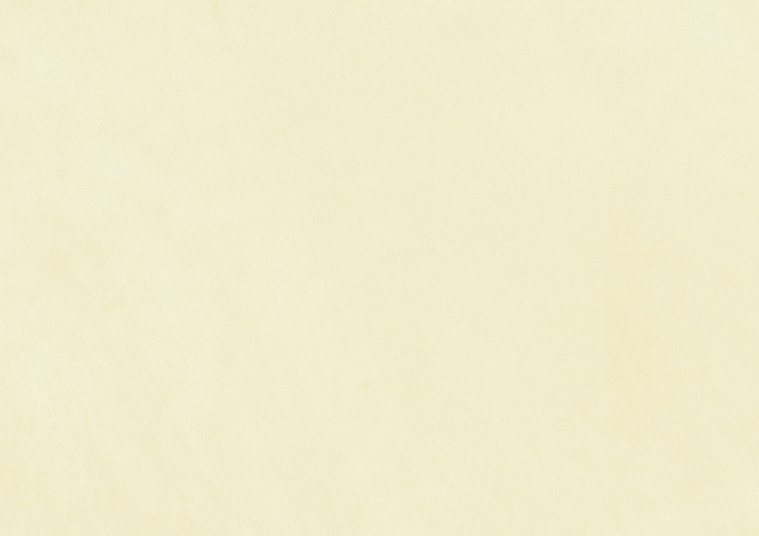 Odessa Velvet, Oyster - Roman Blind - Image 7